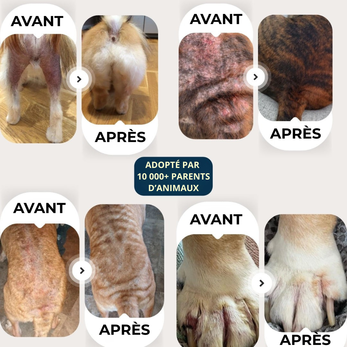 Spray apaisant certifié véto